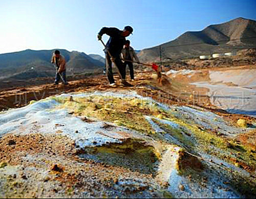 化工企業退出后,如何讓土壤“活”起來?